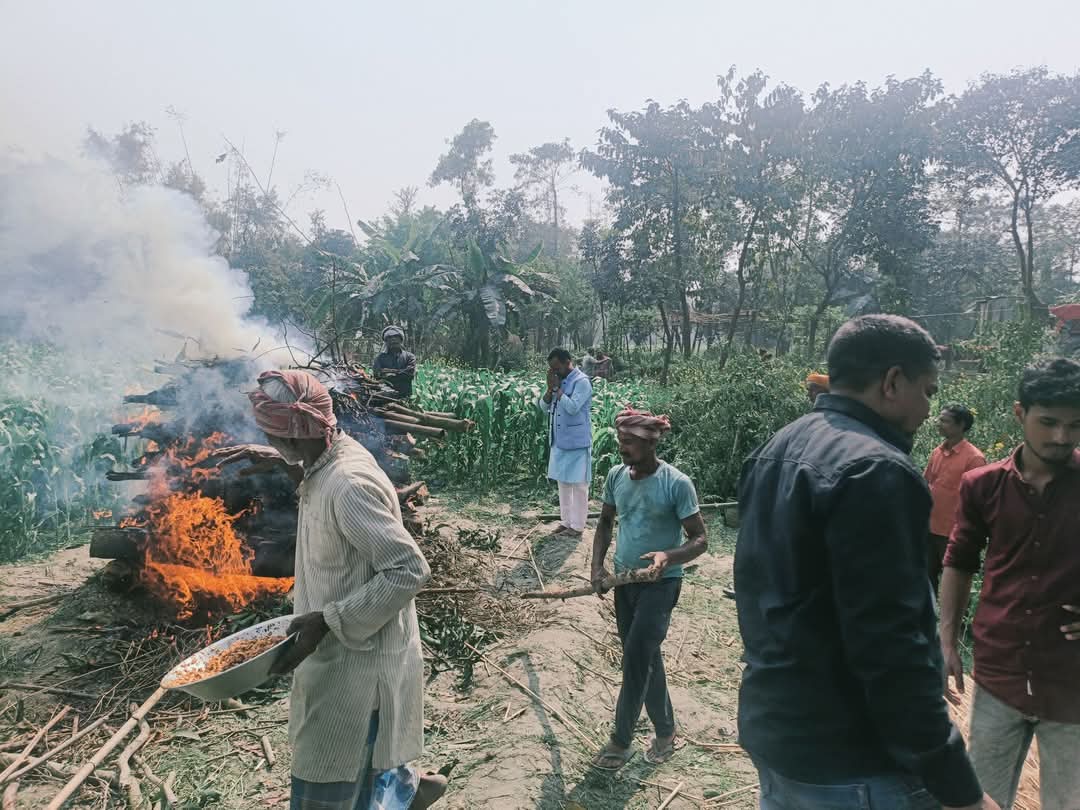 3cf10786 f1b0 4598 b353 59f54ddf0c4e