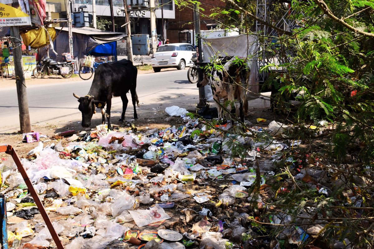 नगर परिषद से नगर निगम बना चास, नहीं बना कचरा निस्तारण प्लांट, जगह-जगह गंदगी का अंबार 2 bokaro news prabhat khabar pathak samvad news