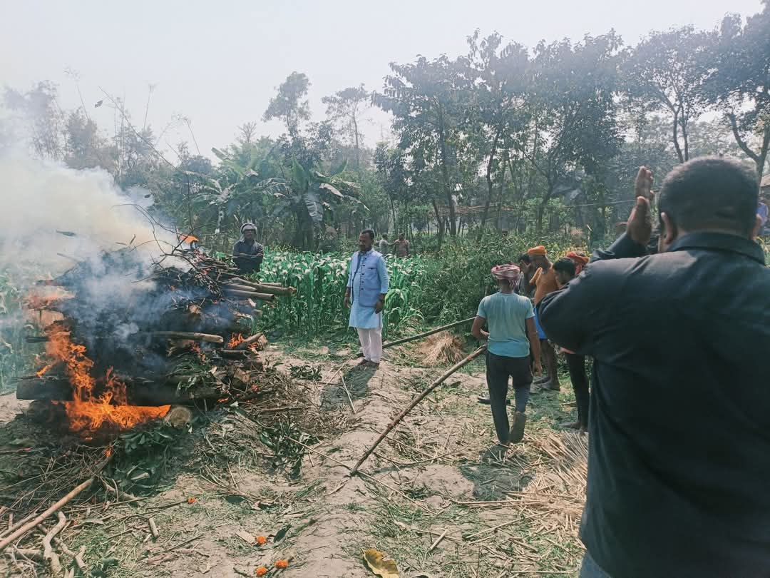 cdc46048 c144 4017 a10c 5f4c39067f27