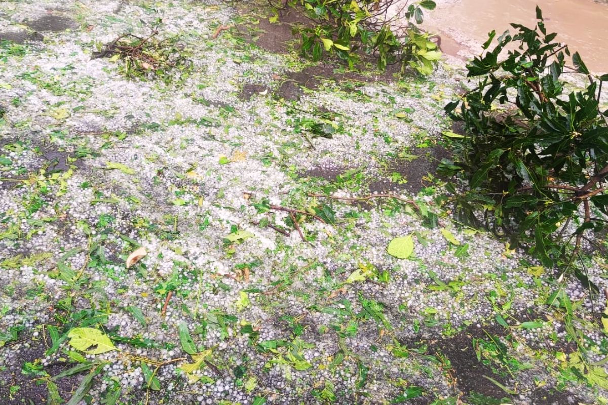 Khunti Weather: खूंटी में तूफान के साथ तेज बारिश, ओला वृष्टि से सड़कों पर बिछी बर्फ की चादर 1 khunti weather