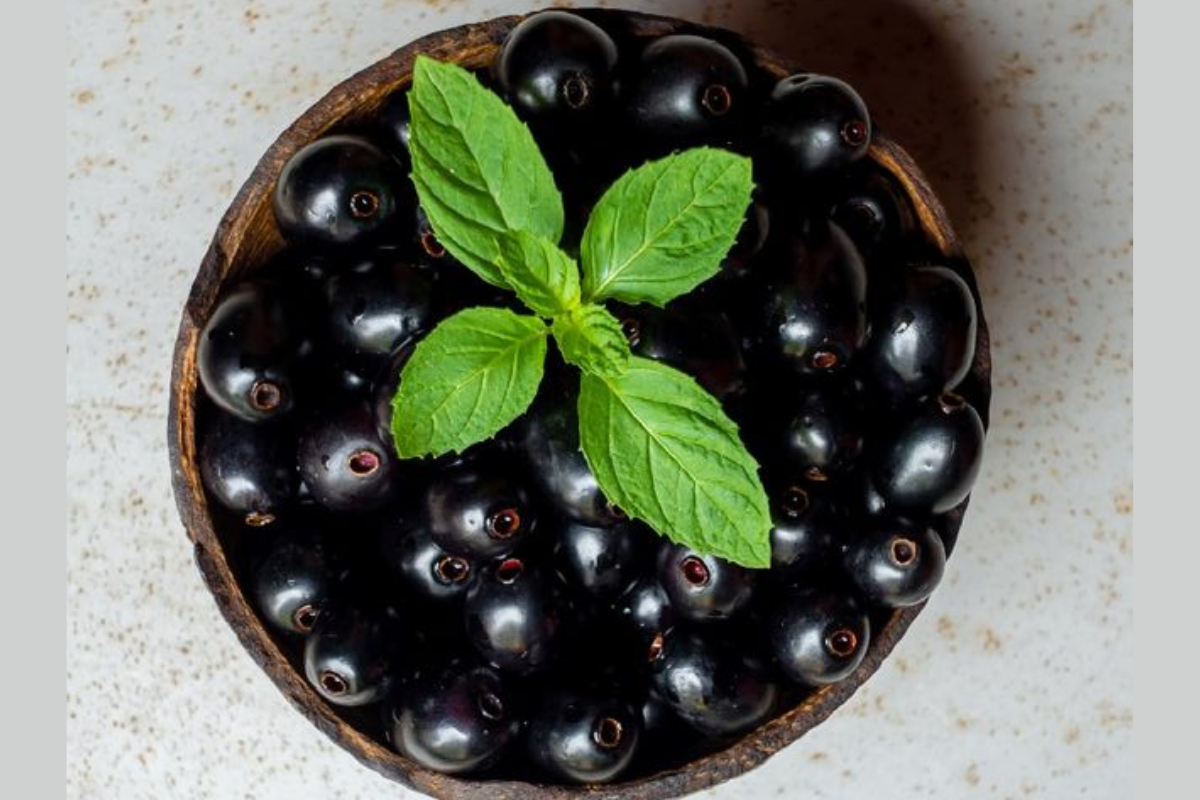5 Fruits to Stay Hydrated in Summer: गर्मियों में नहीं होगी थकान और कमजोरी महसूस जरूर खाएं ये 5 फल 2 Black Plum