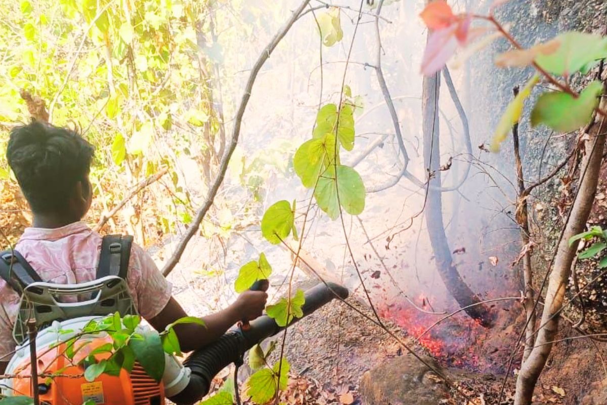 Jungle Fire in Jharkhand Bokaro Jhumra Pahad News