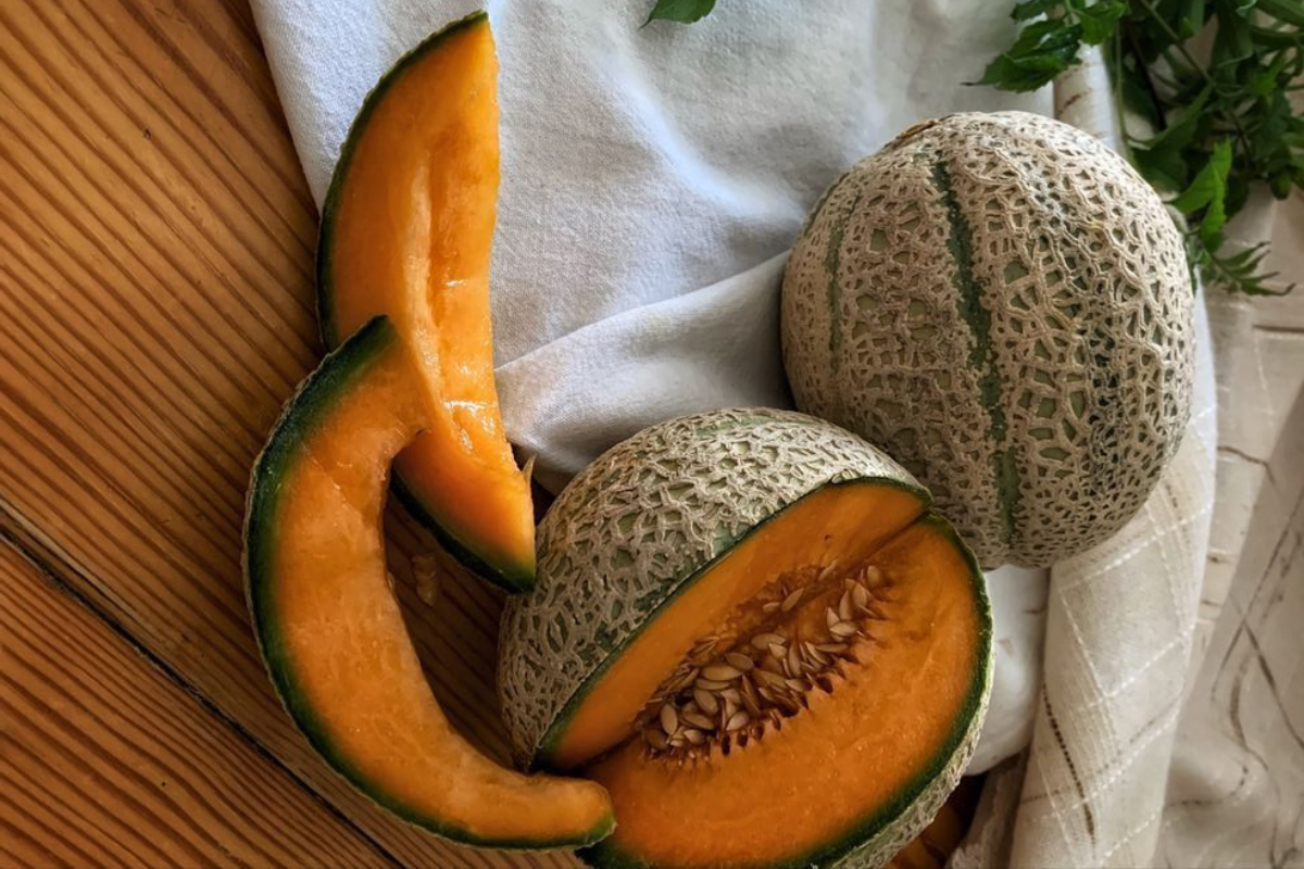 5 Fruits to Stay Hydrated in Summer: गर्मियों में नहीं होगी थकान और कमजोरी महसूस जरूर खाएं ये 5 फल 4 Musk Melon