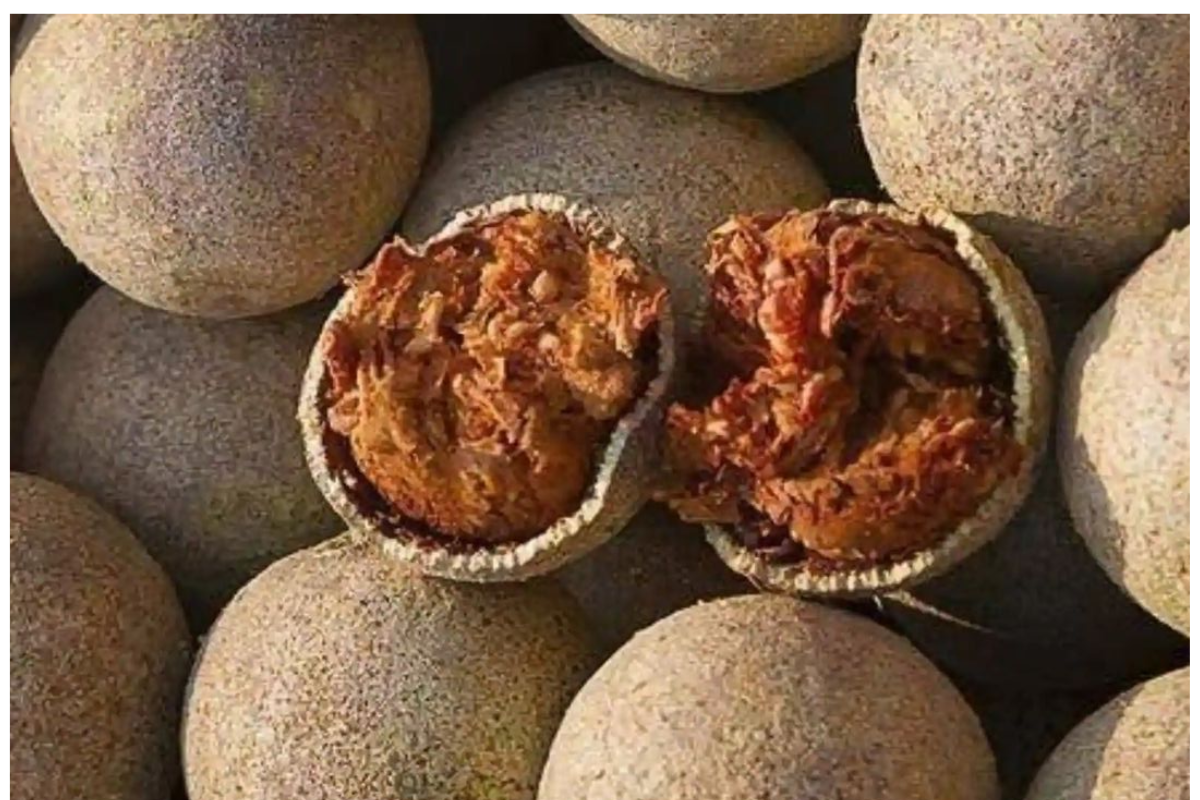 Wood Apple Candy 3
