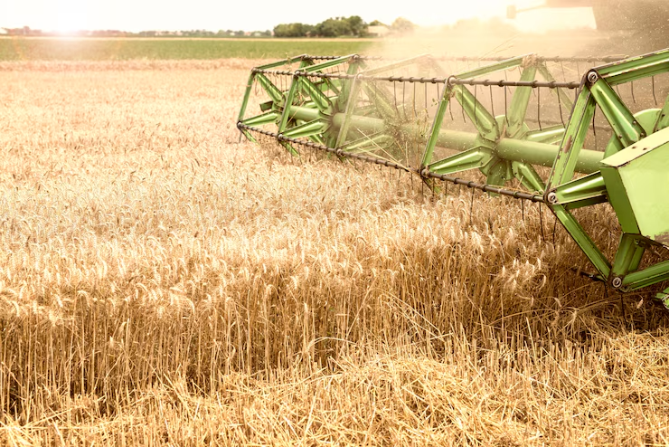 AMERICA Wheat Production 