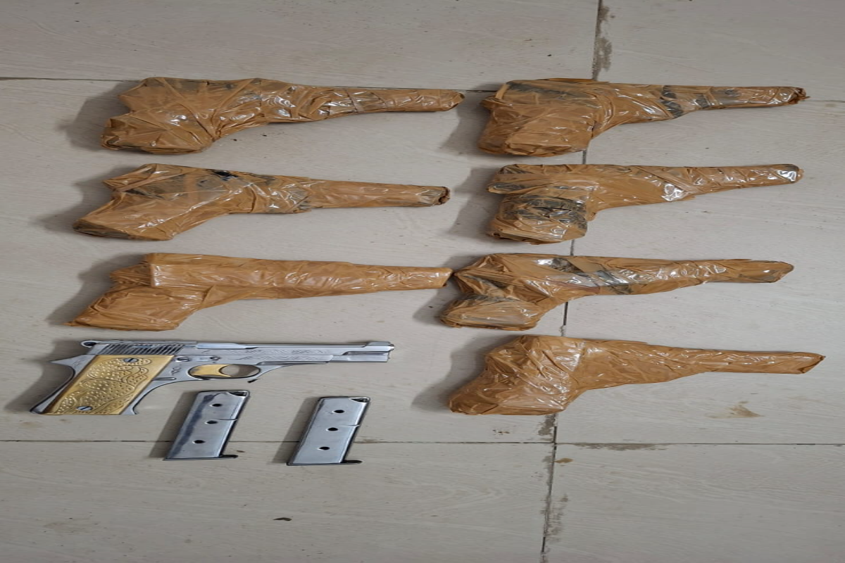 त्रिपुरा सुंदरी एक्सप्रेस में हथियारों का जखीरा पकड़ा, RPF ने 8 देसी पिस्तौल और 16 मैगजीन किये बरामद 1 1001191450