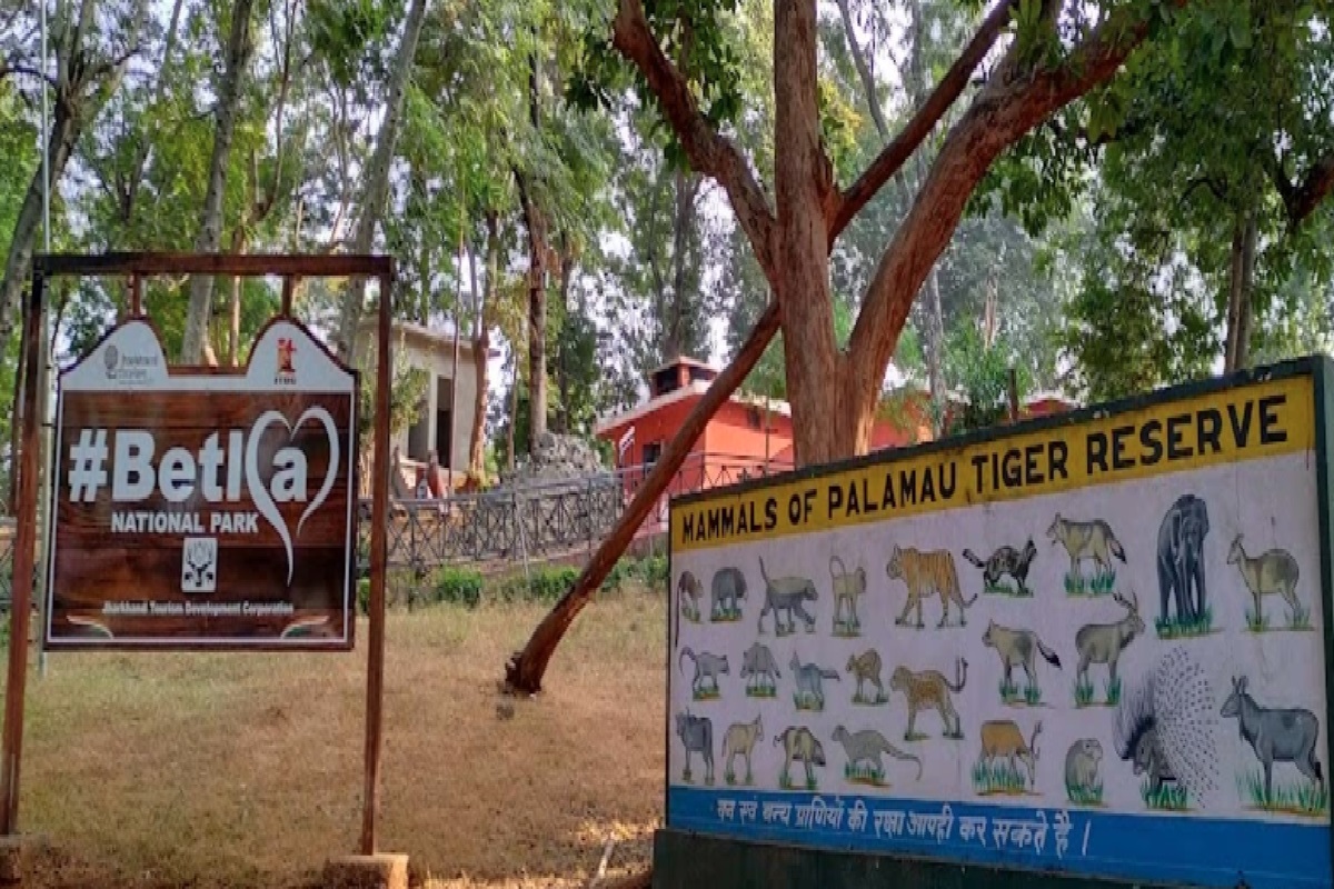 Best Places to visit in Jharkhand: सोलो ट्रिप पर बिताना चाहते हैं सुकून के पल, तो चले आइए झारखंड की ये फेमस जगहें 1 Betla National Park