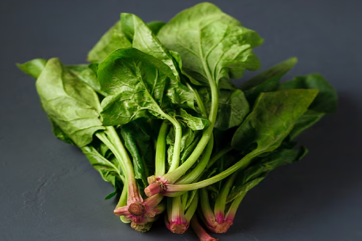 Vitamin B12 Rich Foods: विटामिन B12 से भरपूर ये 4 सब्जियां बनाएं सेहतमंद और मजबूत 1 पालक