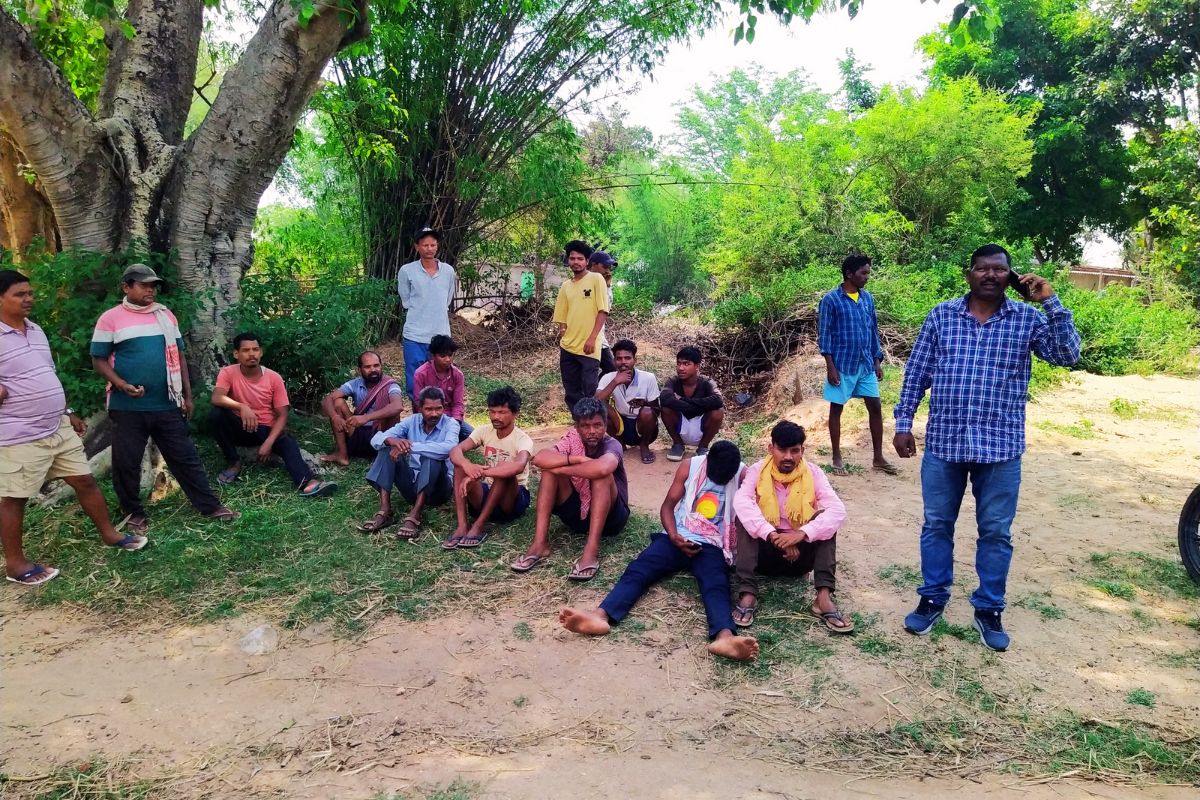 रांची के नामकुम में बाघ के हमले से बैल की मौत, दहशत में ग्रामीण 1 Tiger in Ranchi Jharkhand