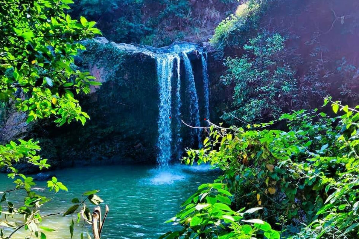 खूबसूरत झरनों और हसीन वादियों का आनंद लेना चाहते है तो आइये रांची, खूबसूरती ऐसी कि वापस जाने का नहीं करेगा दिल 11 image 38