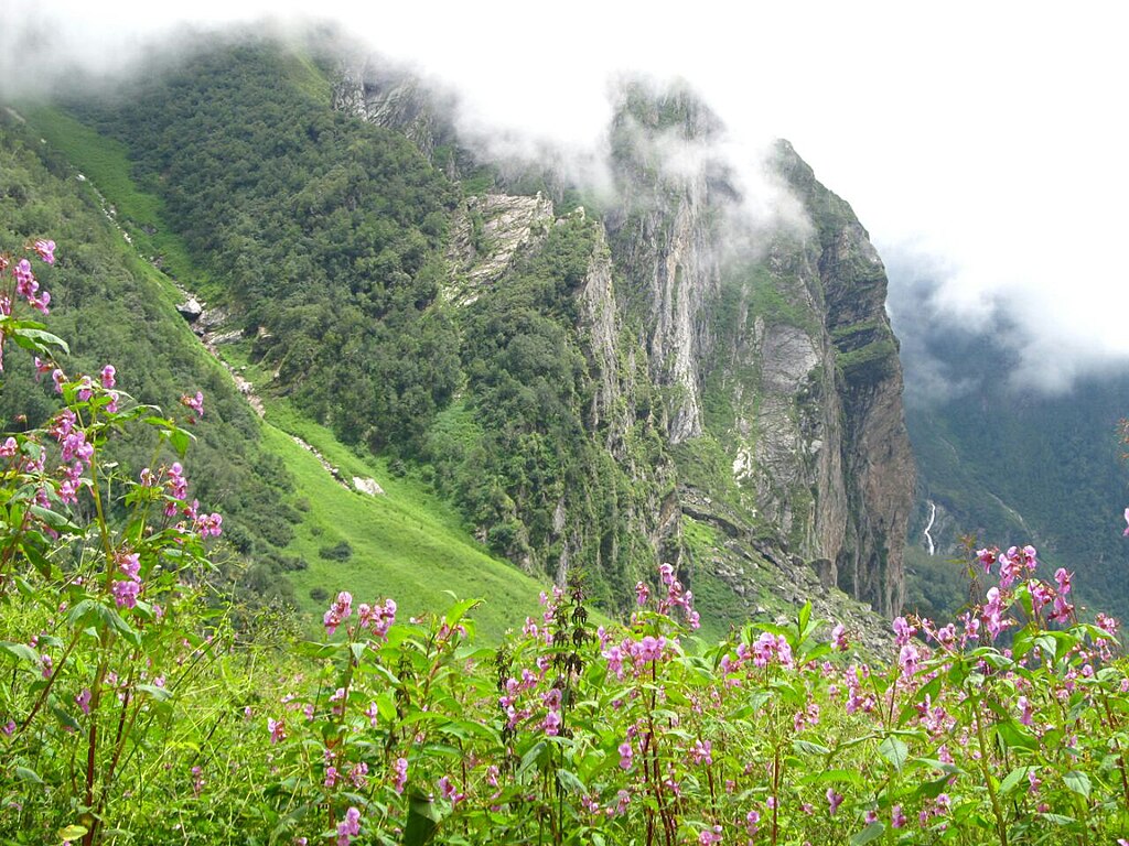 Best Monsoon Trek In India : एडवेंचर के हैं शौकीन, तो मानसून में कर सकते हैं यहां की ट्रैकिंग