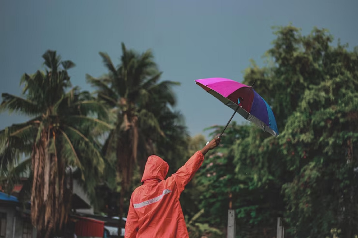 Monsoon Health Tips: बारिश में भीग जाएं तो अपनाएं ये रामबाण उपाय, बीमारियों से रहेंगे दूर 1 monsoon