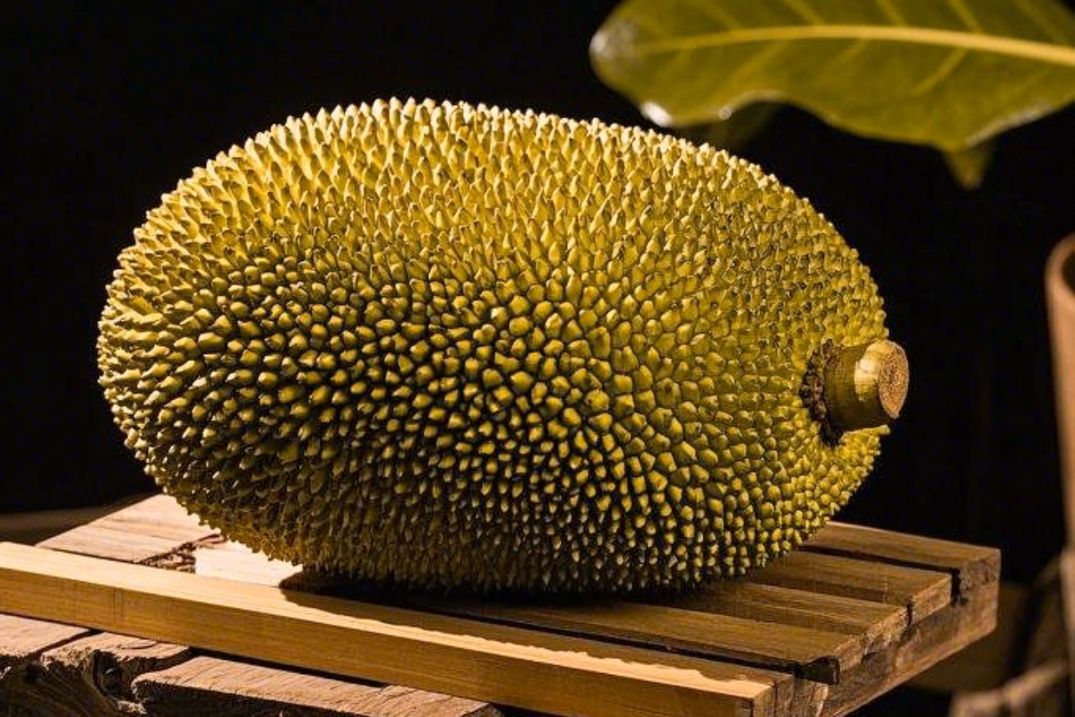 Jackfruit