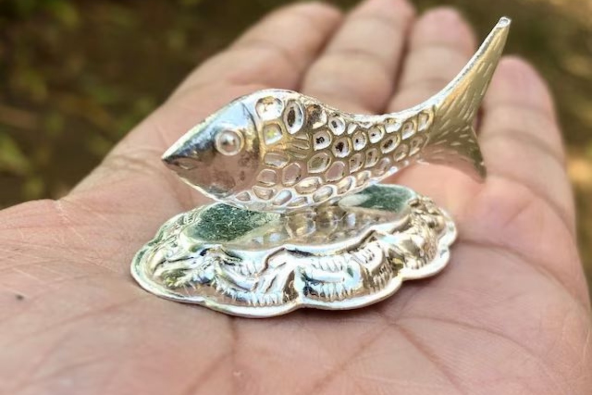 Silver Fish For Dhanteras: धनतेरस पर घर ले आएं चांदी की मछली, देखें इसके लेटेस्ट और शुभ डिजाइंस