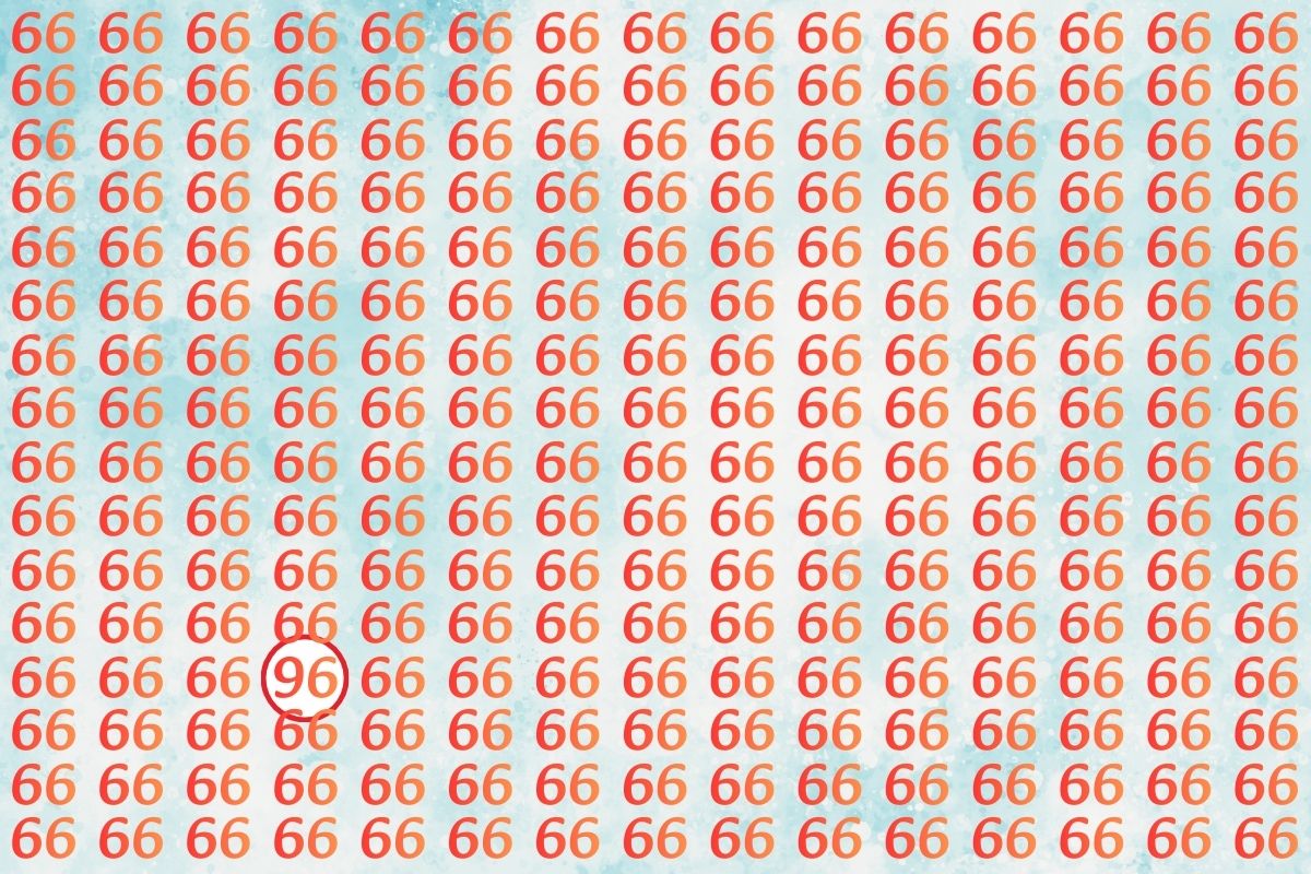 लाल रंग के घेरे में है 96