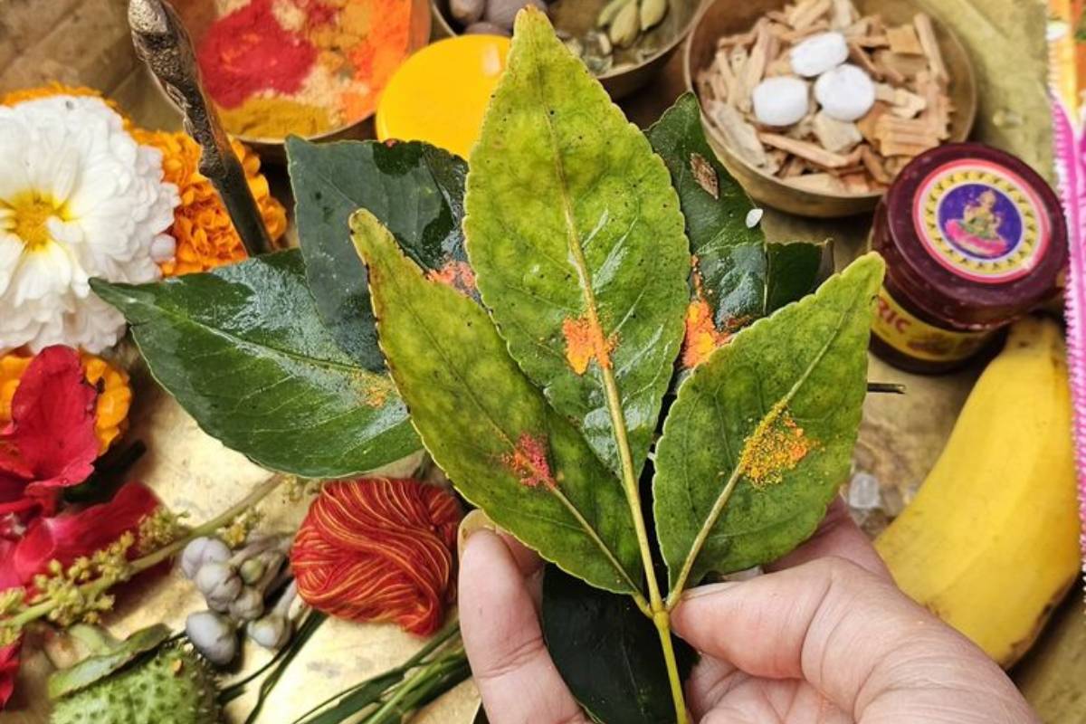 भोलेनाथ को प्रसन्न करने के लिए अर्पित करें ये 7 प्रिय चीजें, मिलेगी विशेष कृपा