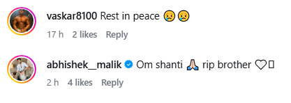 स्प्लिट्सविला 7 के Mayank Pawar नहीं रहे, 37 साल की उम्र में ली अंतिम सांस