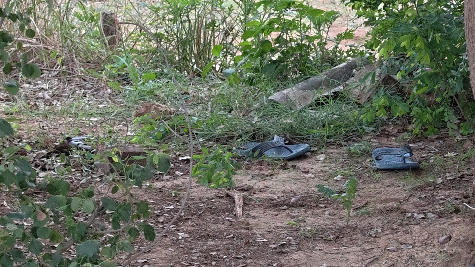 बिहार में आधी रात 2 अपराधियों का एनकाउंटर, पुलिस ने शार्प शूटर विदेशी और पप्पू को दौड़ाकर मारी गोली