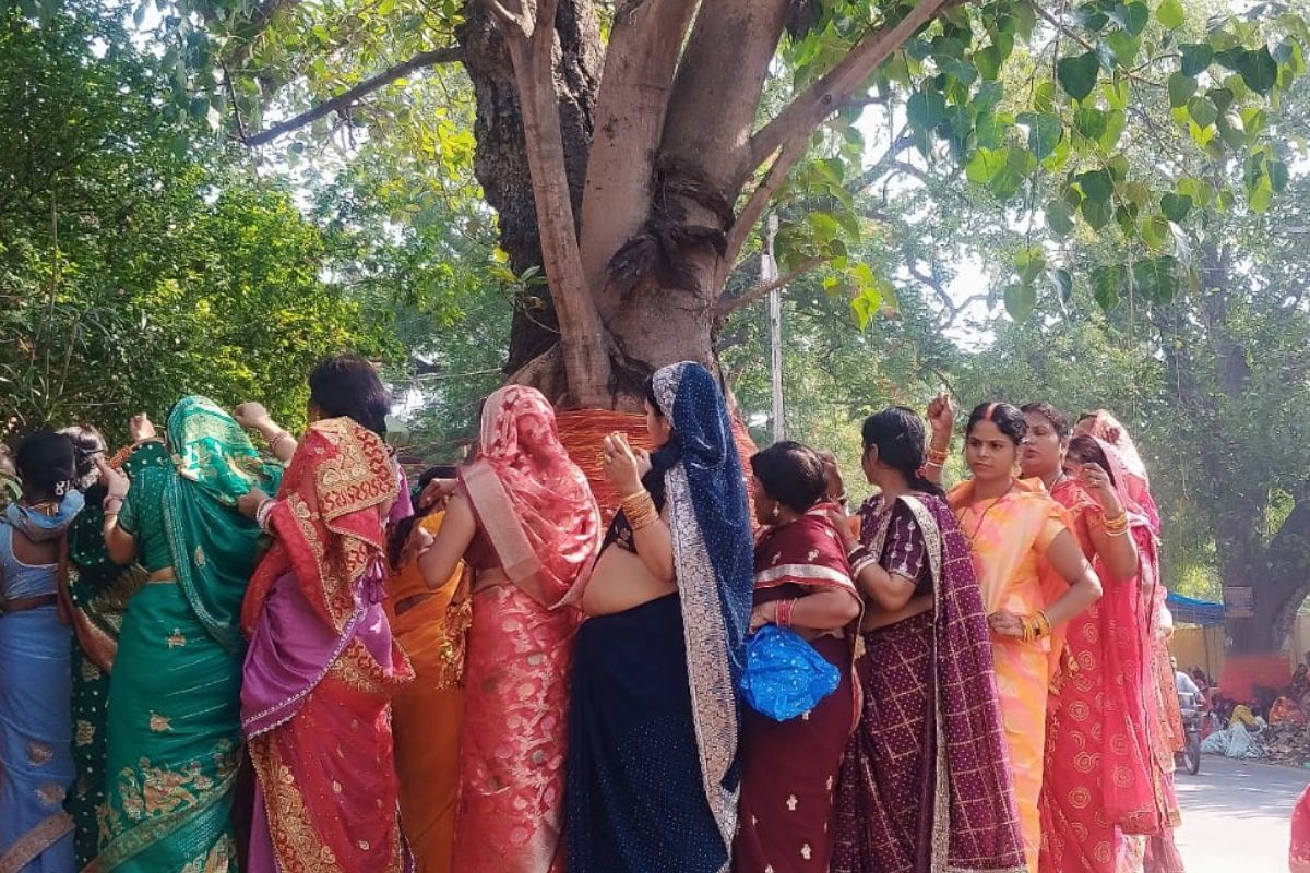 vat savitri bagodar