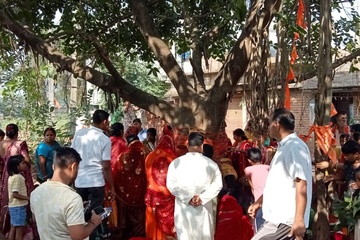 vat savitri pakur