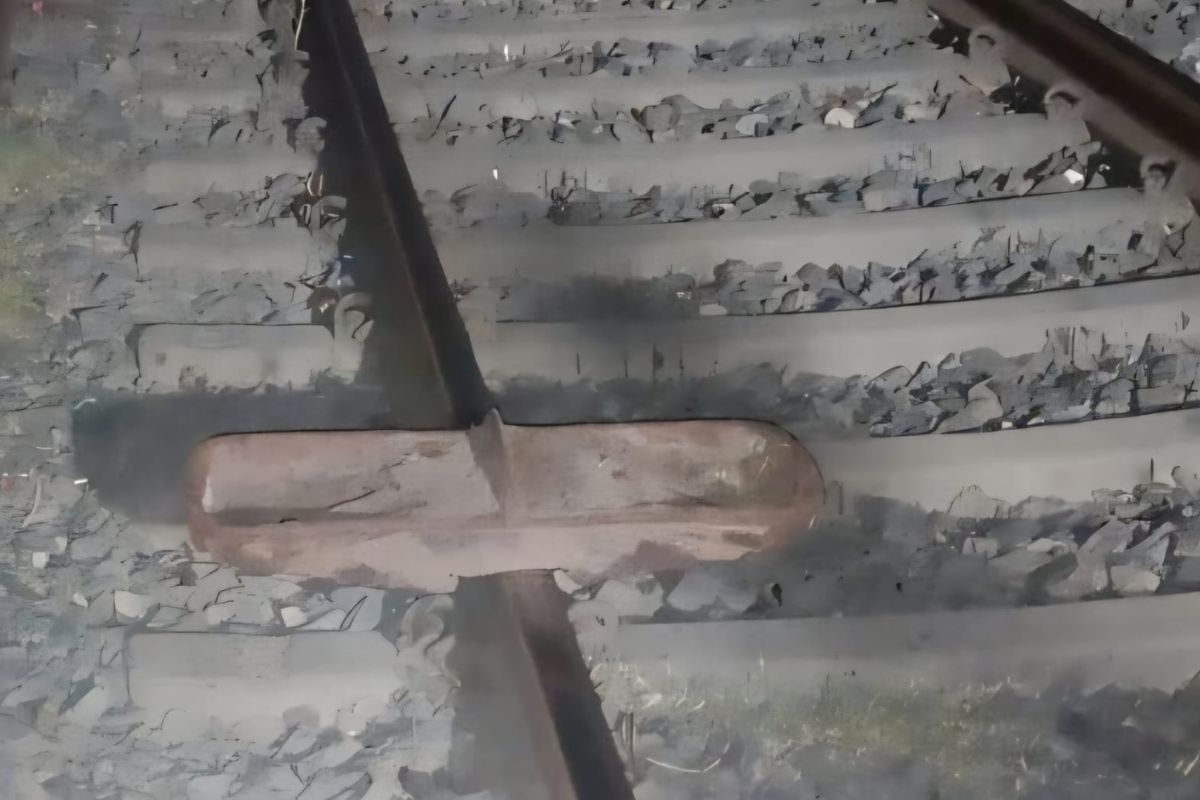 गया जी में टला रेल हादसा, ट्रैक पर रखी मिली लोहे की प्लेट, अचानक पहुंची बुद्ध पूर्णिमा एक्सप्रेस फिर…