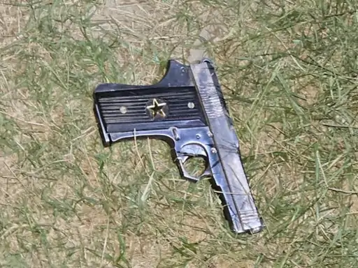 Bihar Criminal Encounter: बिहार का कुख्यात लल्लन UP के सहारनपुर में ढेर, दारोगा को उतारा था मौत के घाट